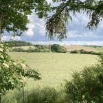 Billede af grønt, åbent landskab lige uden for Ringsted